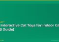 Best Interactive Cat Toys for Indoor Cats (2026 Guide)