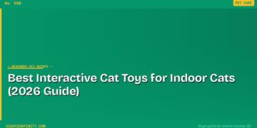 Best Interactive Cat Toys for Indoor Cats (2026 Guide)