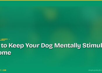 How to Keep Your Dog Mentally Stimulated at Home