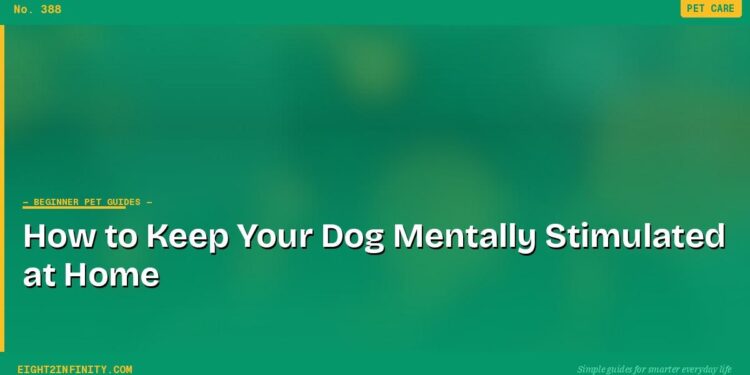 How to Keep Your Dog Mentally Stimulated at Home 1 How to Keep Your Dog Mentally Stimulated at Home