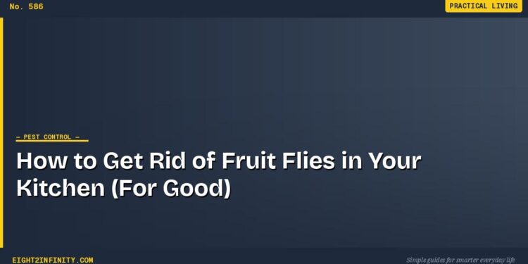 How to Get Rid of Fruit Flies in Your Kitchen (For Good) 1 How to Get Rid of Fruit Flies in Your Kitchen (For Good)