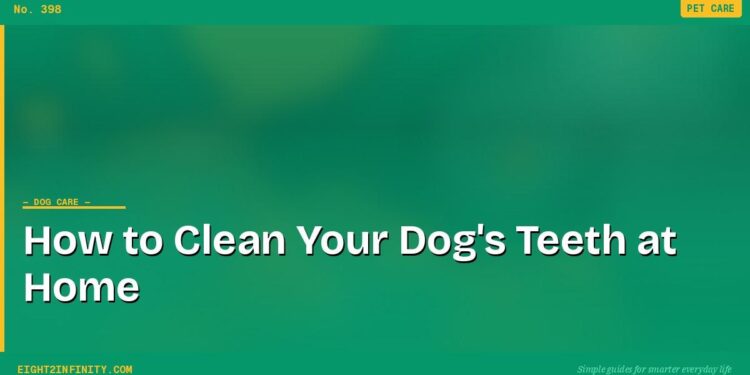 How to Clean Your Dog's Teeth at Home