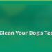 How to Clean Your Dog's Teeth at Home