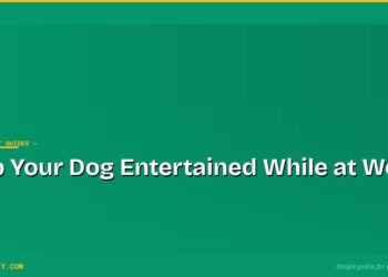 How to Keep Your Dog Entertained While You're at Work