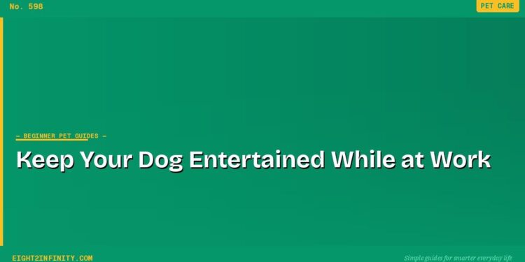 How to Keep Your Dog Entertained While You're at Work 1 How to Keep Your Dog Entertained While You're at Work