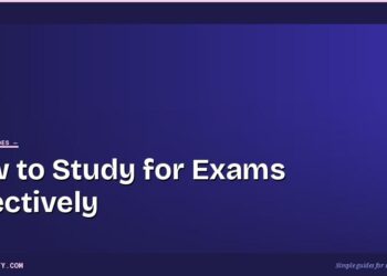 How to Study for Exams Effectively: The Science-Backed Way