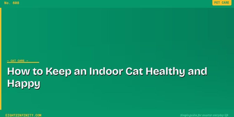 How to Keep an Indoor Cat Healthy and Happy