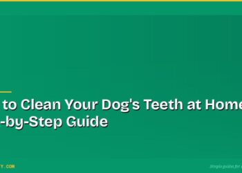How to Clean Your Dog's Teeth at Home: A Step-by-Step Guide 8 How to Clean Your Dog's Teeth at Home: A Step-by-Step Guide