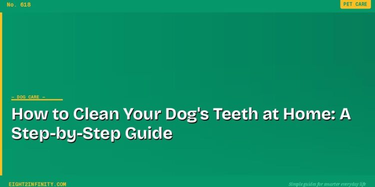 How to Clean Your Dog's Teeth at Home: A Step-by-Step Guide