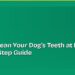 How to Clean Your Dog's Teeth at Home: A Step-by-Step Guide
