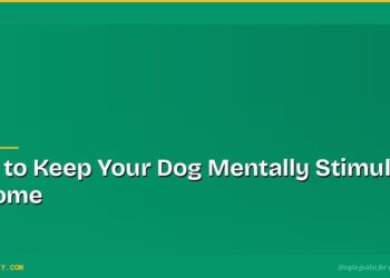 How to Keep Your Dog Mentally Stimulated at Home