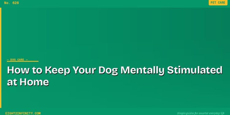 How to Keep Your Dog Mentally Stimulated at Home