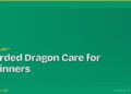 Bearded Dragon Care for Beginners