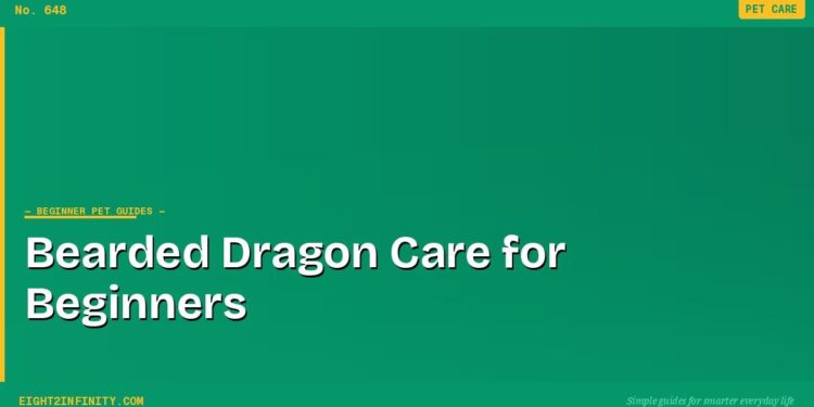 Bearded Dragon Care for Beginners