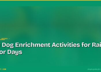 Easy Dog Enrichment Activities for Rainy Indoor Days
