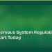 What Is Nervous System Regulation and How to Start Today