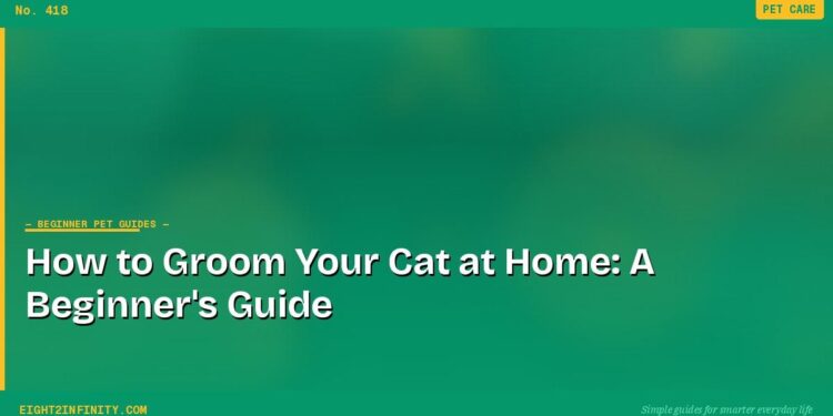 How to Groom Your Cat at Home: A Beginner's Guide