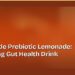 Homemade Prebiotic Lemonade: Refreshing Gut Health Drink 8 Homemade Prebiotic Lemonade: Refreshing Gut Health Drink