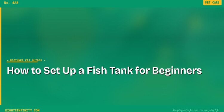 How to Set Up a Fish Tank for Beginners 1 How to Set Up a Fish Tank for Beginners