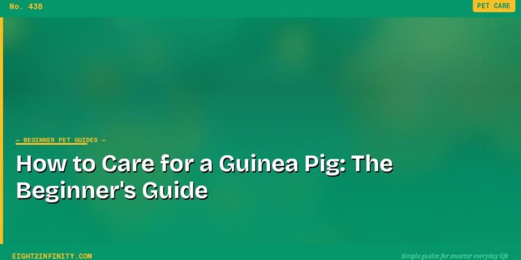 How to Care for a Guinea Pig: The Beginner's Guide 1 How to Care for a Guinea Pig: The Beginner's Guide