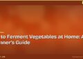 How to Ferment Vegetables at Home: A Beginner's Guide