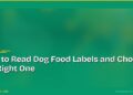 How to Read Dog Food Labels and Choose the Right One