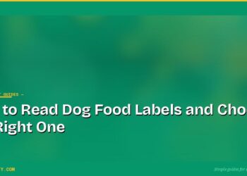 How to Read Dog Food Labels and Choose the Right One