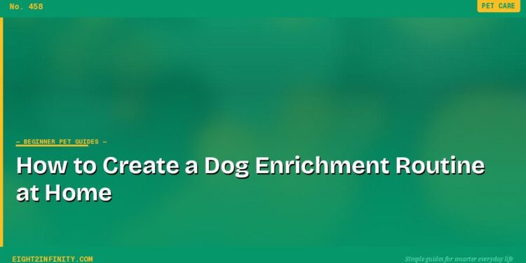 How to Create a Dog Enrichment Routine at Home 1 How to Create a Dog Enrichment Routine at Home