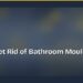 How to Get Rid of Bathroom Mould for Good 8 How to Get Rid of Bathroom Mould for Good
