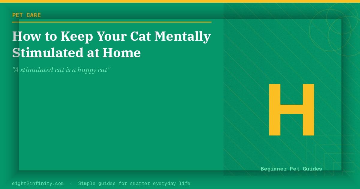 How to Keep Your Cat Mentally Stimulated at Home 2