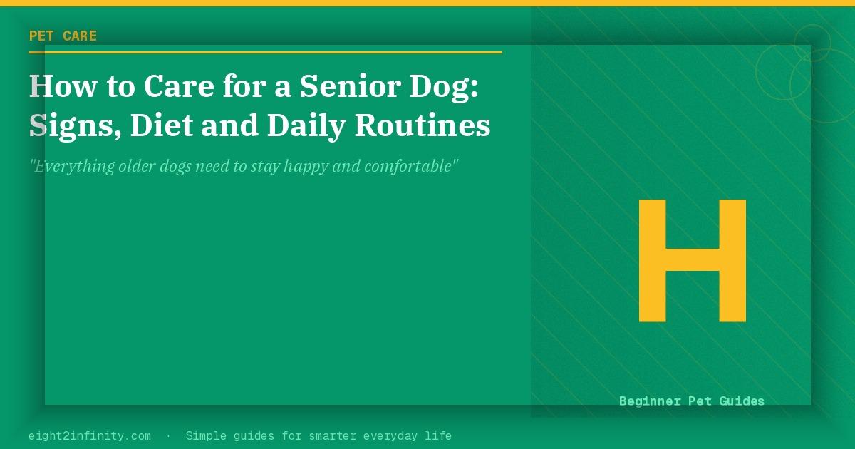 How to Care for a Senior Dog: Signs, Diet and Daily Routines 2