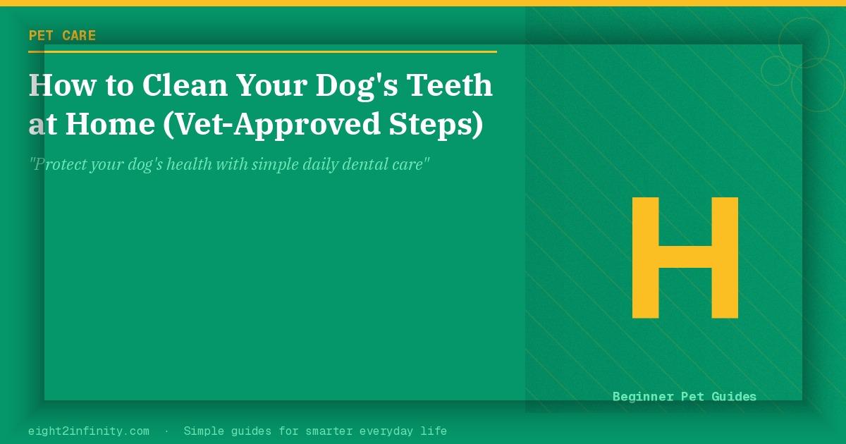 How to Clean Your Dog's Teeth at Home (Vet-Approved Steps) 2