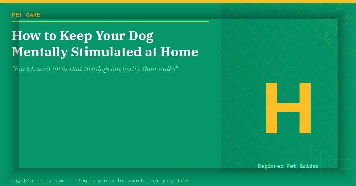 How to Keep Your Dog Mentally Stimulated at Home 2