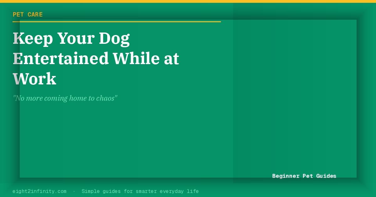 How to Keep Your Dog Entertained While You're at Work 2