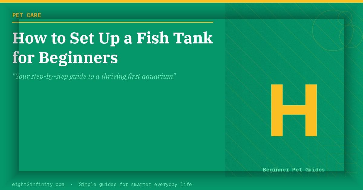 How to Set Up a Fish Tank for Beginners 2