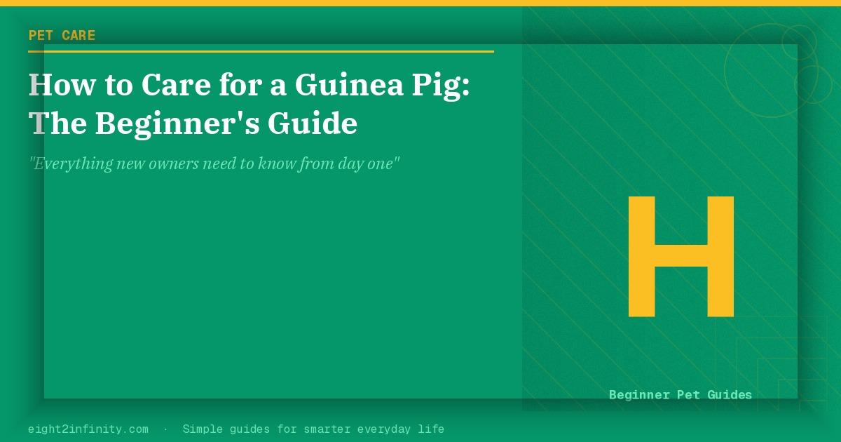 How to Care for a Guinea Pig: The Beginner's Guide 2