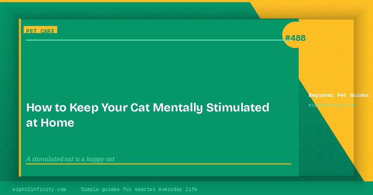 How to Keep Your Cat Mentally Stimulated at Home 3