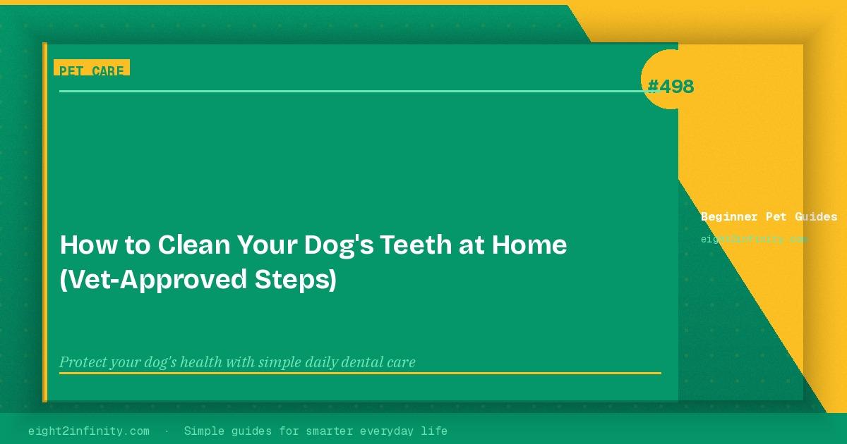 How to Clean Your Dog's Teeth at Home (Vet-Approved Steps) 3