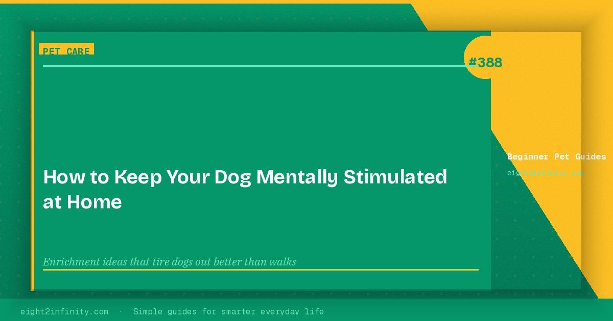 How to Keep Your Dog Mentally Stimulated at Home 3