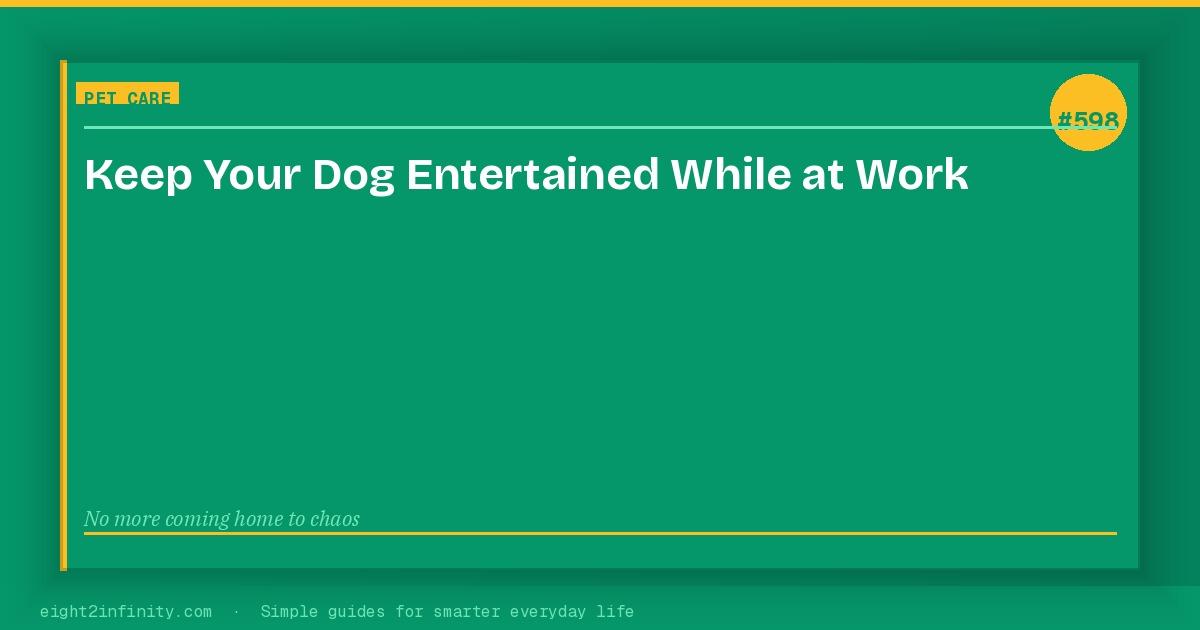 How to Keep Your Dog Entertained While You're at Work 3