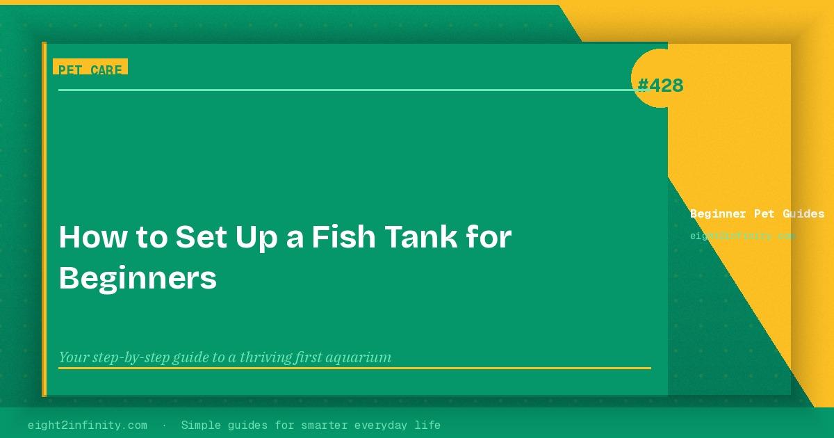 How to Set Up a Fish Tank for Beginners 3