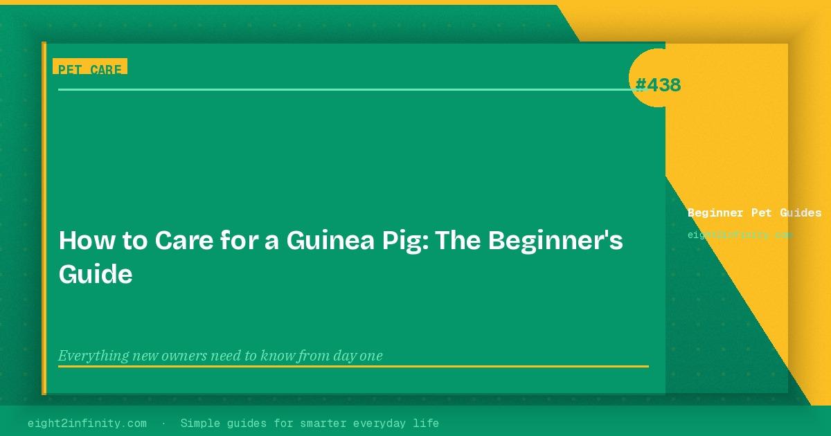 How to Care for a Guinea Pig: The Beginner's Guide 3