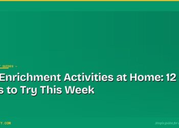 Dog Enrichment Activities at Home: 12 Ideas to Try This Week 4 Dog Enrichment Activities at Home: 12 Ideas to Try This Week