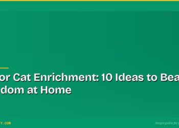 Indoor Cat Enrichment: 10 Ideas to Beat Boredom at Home