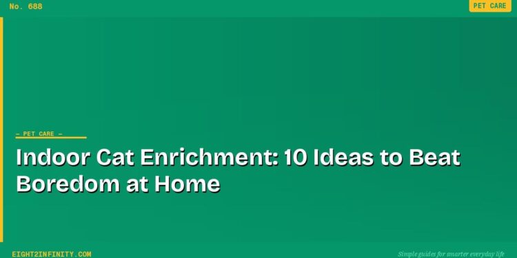 Indoor Cat Enrichment: 10 Ideas to Beat Boredom at Home