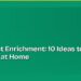 Indoor Cat Enrichment: 10 Ideas to Beat Boredom at Home 8 Indoor Cat Enrichment: 10 Ideas to Beat Boredom at Home