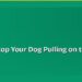 How to Stop Your Dog Pulling on the Lead