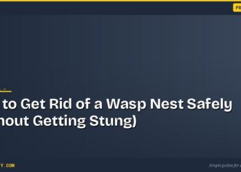 How to Get Rid of a Wasp Nest Safely (Without Getting Stung)