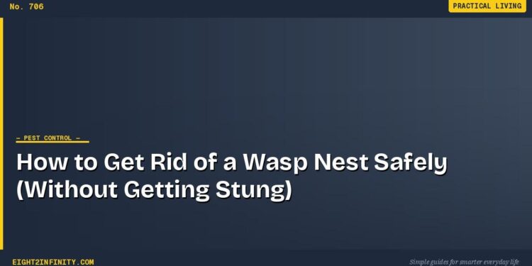 How to Get Rid of a Wasp Nest Safely (Without Getting Stung) 1 How to Get Rid of a Wasp Nest Safely (Without Getting Stung)