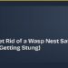 How to Get Rid of a Wasp Nest Safely (Without Getting Stung) 8 How to Get Rid of a Wasp Nest Safely (Without Getting Stung)